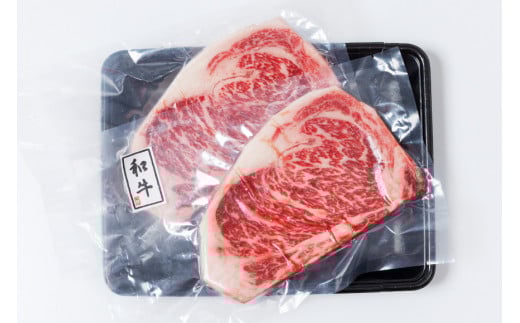 牛肉 黒毛和牛 宮崎産 サーロインステーキ(250g×2枚) 計500g [ウィズ・クリエイティブ 宮崎県 日向市 452061463] 和牛 肉 ステーキ サーロイン 冷凍 真空パック