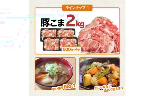 豚肉 宮崎県産豚肉 バラエティ セット 計4.5kg [南九フーズ 宮崎県 日向市 452061538] こま ミンチ 挽肉 ロース とんかつ しゃぶしゃぶ 生姜焼き 小分け