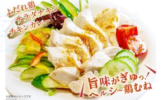 鶏肉 3回 定期便 むね 宮崎県産 若鶏 ムネ肉 250g ×12袋 計 3kg×3回 [九州児湯フーズ宮崎支店 宮崎県 日向市 452061552] 小分け 冷凍 むね肉 国産