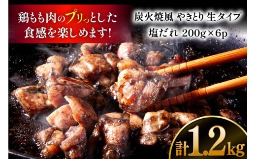【新登場】 炭火焼鳥 炭火焼風やきとり 生タイプ 塩だれ 200g×6P [日本ハムマーケティング 宮崎県 日向市 452061572] 鶏もも 鶏 宮崎 おつまみ 酒のアテ 炭火焼 炭火焼き やきとり