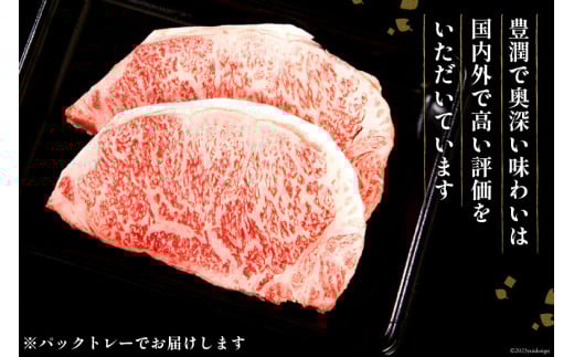 【畜産農家応援】 牛肉 宮崎牛 ロースステーキ 250g×2 計500g [ミヤチク 宮崎県 日向市 452061593] 肉 黒毛和牛 ステーキ ロース 冷凍