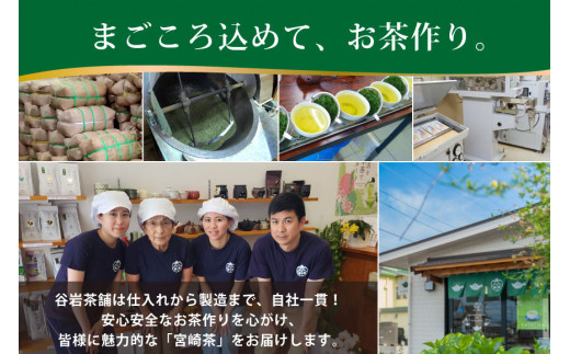 お茶 茶葉 プラチナ賞受賞茶 3本セット 晟 70g×1本 深緑 100g×1本 朝霧しずく 70g×1本 [谷岩茶舗 宮崎県 日向市 452061600] セット 煎茶 釜炒り茶 緑茶 釜王 新緑 朝露しずく 晟