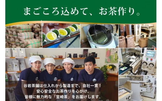 お茶 緑茶 深蒸し煎茶 深緑 100g×1本 [谷岩茶舗 宮崎県 日向市 452061604] 茶葉 プラチナ賞