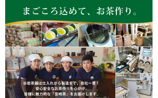 お茶 緑茶 深蒸し煎茶 深緑 100g×3本 [谷岩茶舗 宮崎県 日向市 452061606] セット 小分け 茶葉 プラチナ賞