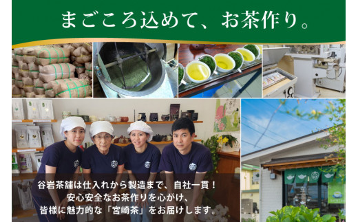 お茶 緑茶 釜炒り茶 朝霧しずく 70g×1本 [谷岩茶舗 宮崎県 日向市 452061607] 茶葉 プラチナ賞 日本茶