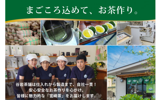 お茶 緑茶 釜炒り茶 朝霧しずく 70g×3本 [谷岩茶舗 宮崎県 日向市 452061609] セット 緑茶 やぶきた プラチナ賞 日本茶