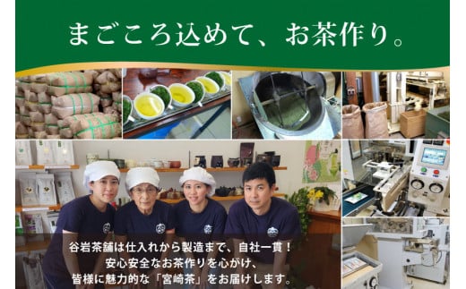 お茶 緑茶 煎茶 晟 70g×2本 [谷岩茶舗 宮崎県 日向市 452061611] セット 緑茶 やぶきた プラチナ賞 日本茶