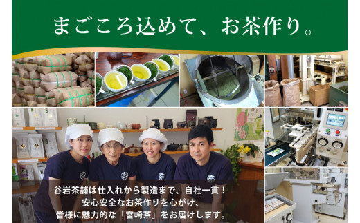 お茶 緑茶 煎茶 晟 70g×3本 [谷岩茶舗 宮崎県 日向市 452061612] セット 緑茶 やぶきた プラチナ賞 日本茶