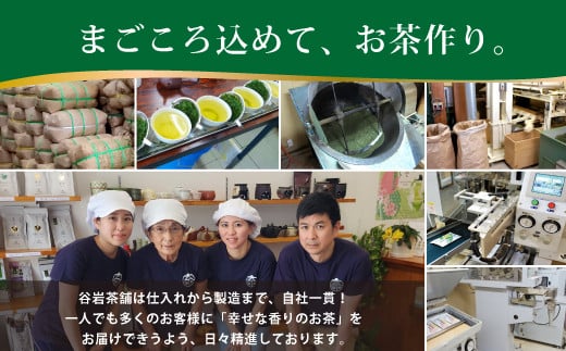 茶 煎茶 白折 100g×1袋 [谷岩茶舗 宮崎県 日向市 452061613] お茶 緑茶 茶葉 深蒸し 茎茶 アミノ酸 簡易包装 緑茶