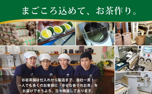 茶 特撰 みやざき 煎茶 ティーバッグ 5g×20個入 計2袋 [谷岩茶舗 宮崎県 日向市 452061615] お茶 日本茶 新茶 簡易包装 一番茶 新茶