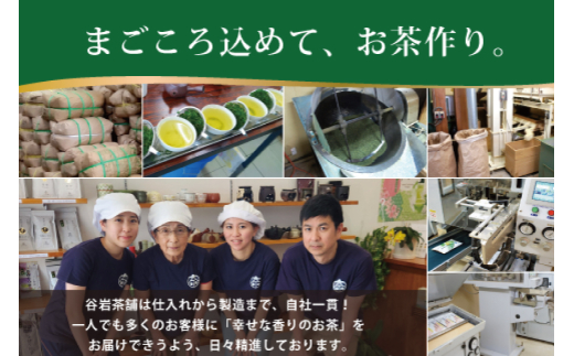 お茶 プレミアム ティーバッグ 露ぶせ 3g 12個 2袋 セット [谷岩茶舗 宮崎県 日向市 452061618] ティーパック 茶 緑茶 日本茶