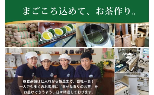 お茶 プレミアム ティーバッグ 露ぶせ 3g 12個 3袋 セット [谷岩茶舗 宮崎県 日向市 452061619] ティーパック 茶 緑茶 日本茶