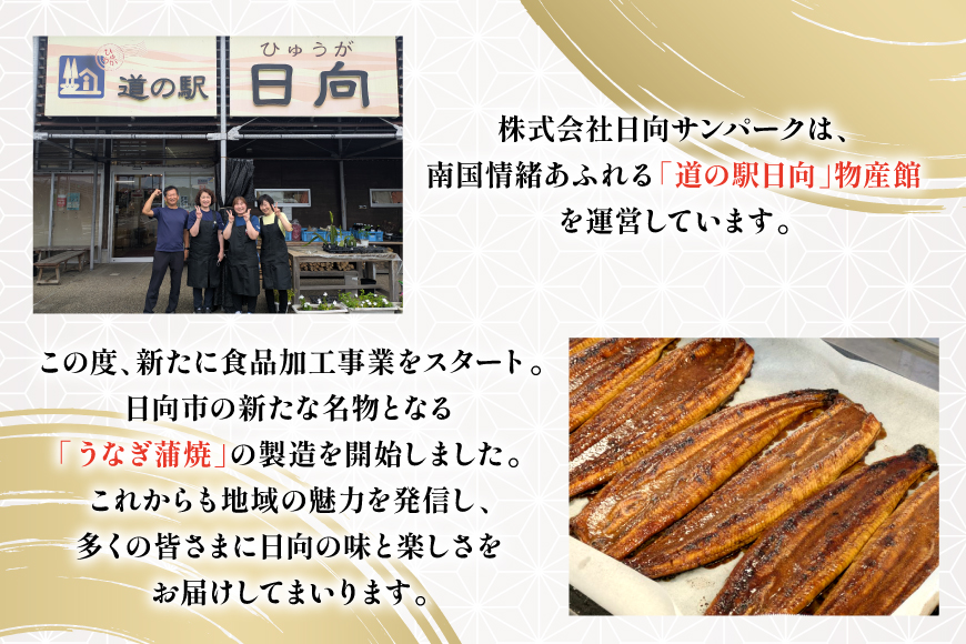 うなぎ 国産 日向極み うなぎ蒲焼 2尾 計300g以上 【たれ・山椒付き】 [日向サンパーク 宮崎県 日向市 452061636] ギフト 小分け 真空パック 鰻 ウナギ うなぎの蒲焼 蒲焼 蒲焼き