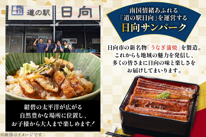 うなぎ 国産 日向極み うなぎ蒲焼 2尾 計300g以上 【たれ・山椒付き】 [日向サンパーク 宮崎県 日向市 452061636] ギフト 小分け 真空パック 鰻 ウナギ うなぎの蒲焼 蒲焼 蒲焼き