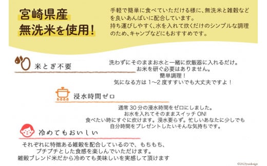 米 無洗米 11穀満足ごはん ごほうびごはん 250g×4 計 1kg [DANBO*DELI 宮崎県 日向市 452060022] 小分け 国産 ブレンド米 雑穀米 こめ コメ 雑穀