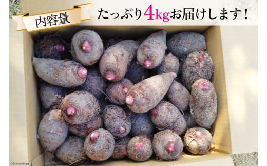 【期間限定発送】 里芋 赤芽 4kg [甲斐自然派農園 宮崎県 日向市 452060524] さといも ホクホク