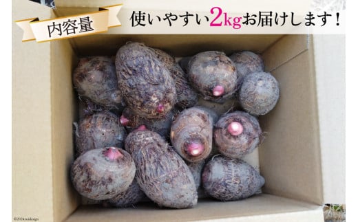 【期間限定発送】 里芋 赤芽 2kg [甲斐自然派農園 宮崎県 日向市 452060525] さといも ホクホク