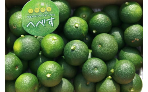 【期間限定発送】 へべす ひなたGAP認定 ふぞろい 2kg [へべすの悠美園 宮崎県 日向市 452060725] ヘベス 宮崎 果物 フルーツ くだもの 柑橘 ポン酢 調味料 果汁