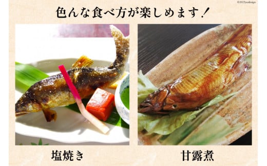 鮎 冷凍 こだわりの鮎 約1kg [あゆの是則 宮崎県 日向市 452060794] あゆ アユ 魚 魚介 川魚 塩焼き 甘露煮 冷凍