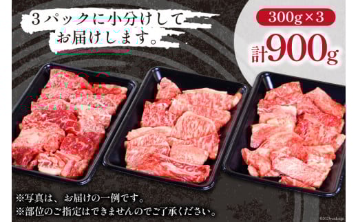 宮崎和牛 切り落とし 焼肉 900ｇ [道の駅「日向」物産館 宮崎県 日向市 452060796] 切落し きりおとし 牛肉 黒毛和牛