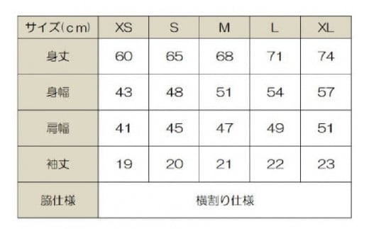 ポロシャツ 半袖 ヒュー！日向 ポロシャツ 2枚 [オリジナルＴシャツ・タオル工場 宮崎県 日向市 452060817] メンズ レディース 男女兼用 速乾 白 黒 紺