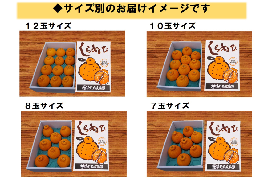 【期間限定発送】じゅわーっと甘い 不知火 約3kg（ハウス栽培・化粧箱入り） [たけちゃん農園 宮崎県 日向市 452060822] 果物 フルーツ 柑橘類