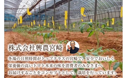 ゼリー 日向の雫 たっぷりトマトのプレミアムゼリー 130g×8個 [興農宮崎 宮崎県 日向市 452060898] 完熟 トマト 食塩不使用 無塩 国産