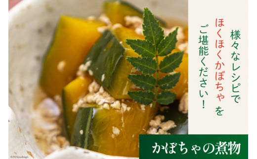 【期間限定発送】 野菜 栗カボチャ 2玉 [たくちゃんの野菜農園 宮崎県 日向市 452060909] かぼちゃ 南瓜 カボチャ 完熟 甘い ホクホク ほっこり133 ブラックのジョー 国産