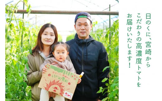 【期間限定発送】 訳あり トマト SUNすいーと 1kg×2箱 [にいな農園 宮崎県 日向市 452060917] 野菜 フルーツトマト 高糖度 甘い 不揃い 家庭用