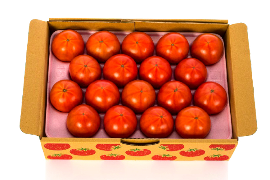 【期間限定発送】 トマト SUNすいーと 1.5kg×1箱 [にいな農園 宮崎県 日向市 452060918] 野菜 フルーツトマト 高糖度 甘い