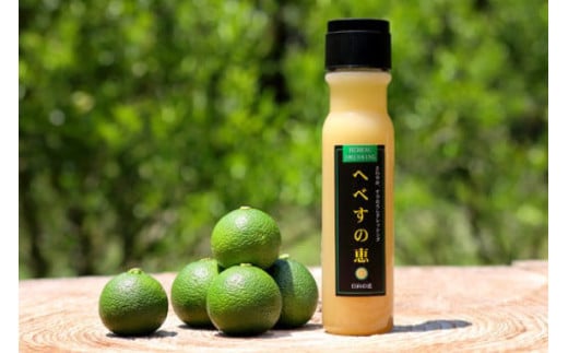 ドレッシング 訳あり 200g×4本セット [日向の恵 宮崎県 日向市 452060968] 個包装 小分け 詰め合わせ にんじん 人参 玉ねぎ トマト ごま ゴマ へべす