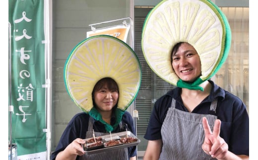 餃子 黒餃子 鶏炭火焼 入 15個入 ×4p 計 60個 [餃子の里 宮崎県 日向市 452061058] 宮崎 ぎょうざ 冷凍 鶏 炭火焼き