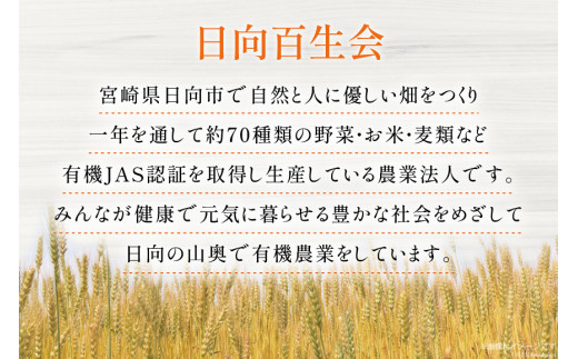 お茶 六条麦茶 ( 10g 20包 ) 15袋 [日向百生会 宮崎県 日向市 452061127] 麦茶 むぎ茶 水出し 煮出し ティーバッグ 国産 ノンカフェイン