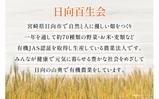 お茶 六条麦茶 10g 20包 [日向百生会 宮崎県 日向市 452061129] 麦茶 むぎ茶 水出し 煮出し ティーバッグ 国産 ノンカフェイン