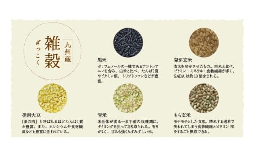 雑穀米 国産 混ぜるだけ 九州満菜 雑穀 250g 1 パック 約20合分 [オキス 宮崎県 日向市 452061133] 黒米 玄米 もち麦 押し麦 野菜 おにぎり お弁当 米 こめ