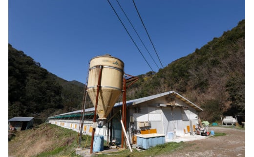 鶏肉 小分け 宮崎県産 ブランド鶏 夢創鶏 もも むね 切身 セット 200g 5p 2種 計2kg [英楽 宮崎県 日向市 452061148] むね肉 もも肉 ムネ モモ 鶏