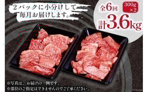 牛肉 訳あり 6回 定期便 宮崎和牛 切り落とし 焼肉 600g ×6回 総計 3.6kg [道の駅「日向」物産館 宮崎県 日向市 452061150] 焼き肉 切落し きりおとし 黒毛和牛 宮崎県産 訳アリ