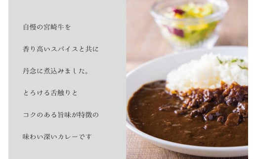 カレー 6回 定期便 レトルト 宮崎牛カレー 160g 12袋 総計72袋 [九州産商 宮崎県 日向市 452061183] 小分け ビーフカレー 宮崎 牛 常備食 保存食 中辛 宮崎牛 備蓄