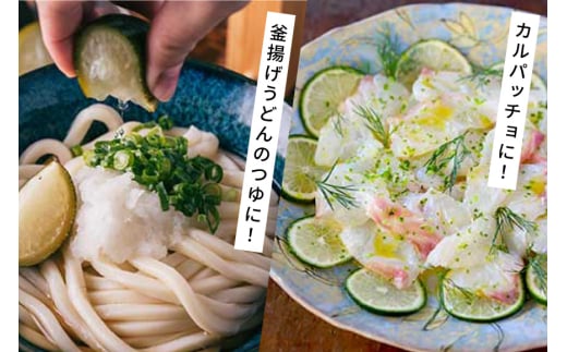 へべす 100% 果汁 2本 醤油 1本 計3本 セット [ひむか農園 宮崎県 日向市 452061201] ヘベス しょうゆ 調味料 柑橘