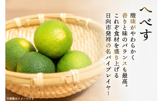 お菓子 詰め合わせ 桃乃屋限定 日向特産 へべす香る へべすサブレ へべすようかん 各6袋 セット [桃乃屋 宮崎県 日向市 452061300] 個包装 和菓子 おかし へべす ヘベス