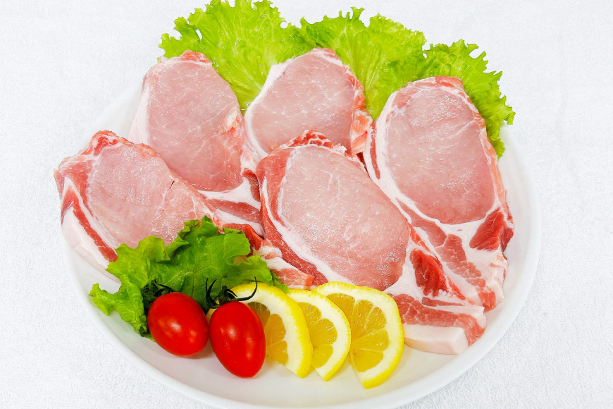 豚肉 宮崎県産豚肉 ロースカツ用 1kg ヒレカツ用 300g 詰め合わせ セット [TRINITY 宮崎県 日向市 452061324] 小分け 冷凍 豚 とんかつ ロースカツ お弁当 おかず