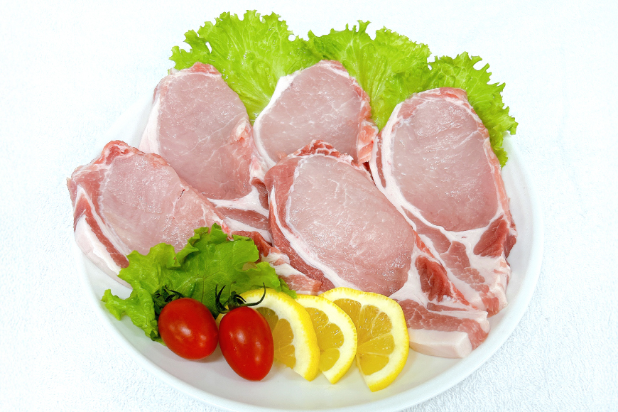 豚肉 宮崎県産豚肉 3kg 詰め合わせ セット [TRINITY 宮崎県 日向市 452061329] 小分け 豚 肉 宮崎 ロース スライス 豚バラ とんかつ 切り落とし ミンチ 豚ミンチ ひき肉 真空パック