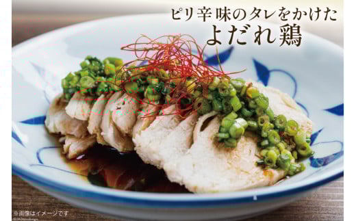 宮崎県産若鶏むね肉4kg [エム・ティ・シー 宮崎県 日向市 452061359] 冷凍 個包装 小分け 国産 国内産 宮崎 鶏むね 鶏ムネ 若鶏 鶏肉