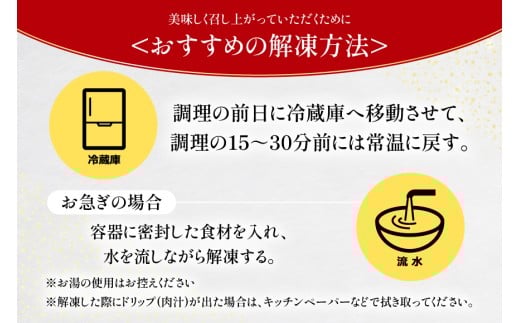 牛肉 宮崎牛 切り落とし 500g 4p 計 2kg [ローカルブランディング 宮崎県 日向市 452061410] 冷凍 小分け 黒毛和牛 黒毛 A4 A5 切落し 国産