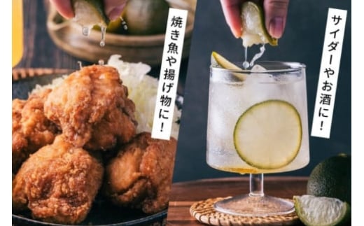 焼酎 へべす果汁とあくがれブルー ミニ 各1本 晩酌セット [日向市観光協会 宮崎県 日向市 452061425] 晩酌 セット へべす ヘベス 果汁 へべす果汁 ヘベス果汁 あくがれ あくがれブルー