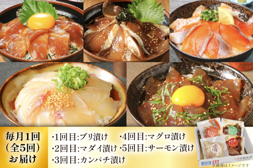 海鮮丼 海鮮漬け丼 5か月 定期便 [請関水産 宮崎県 日向市 452061452] 海鮮丼の具 海鮮 海鮮丼セット 食べ比べ 丼 冷凍 ギフト 漬け丼 ブリ 真鯛 マダイ カンパチ かんぱち まぐろ マグロ サーモン