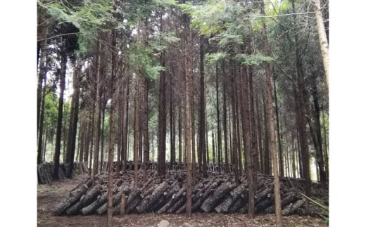 宮崎県産 原木栽培 乾しいたけ 肉厚 どんこ 70g 3袋 計210g [本吉 宮崎県 日向市 452061462] しいたけ 椎茸 乾燥 干し 国産