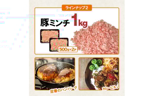 豚肉 宮崎県産豚肉 バラエティ セット 計4.5kg [南九フーズ 宮崎県 日向市 452061538] こま ミンチ 挽肉 ロース とんかつ しゃぶしゃぶ 生姜焼き 小分け