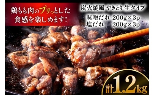 【新登場】 炭火焼鳥 炭火焼風やきとり 生タイプ 塩だれ 味噌だれ 各200g×3p 計6P [日本ハムマーケティング 宮崎県 日向市 452061570] 鶏もも 鶏 宮崎 おつまみ 酒のアテ 炭火焼 炭火焼き やきとり