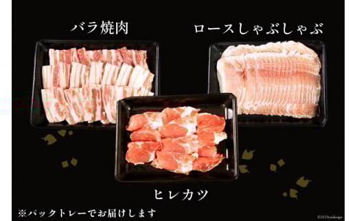 豚肉 宮崎県産 豚のトンカツ・焼肉・しゃぶしゃぶセット 計1.4kg [ミヤチク 宮崎県 日向市 452061589] 肉 ヒレ ロース バラ 冷凍